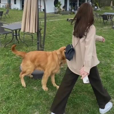 迫切的任务